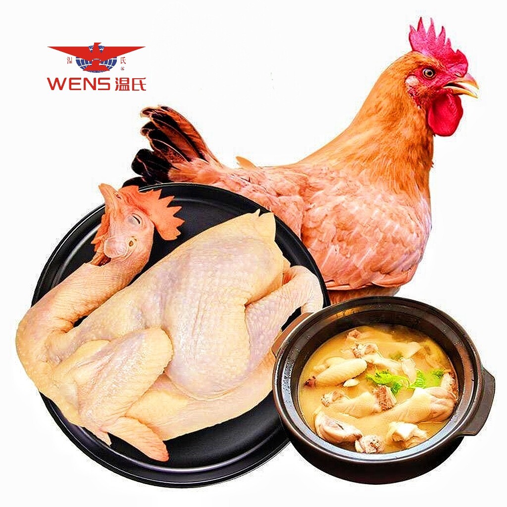 广东温氏清远鸡湛江鸡黄油鸡 新鲜冷冻 鸡肉香嫩皮薄黑棕鹅非公鸡