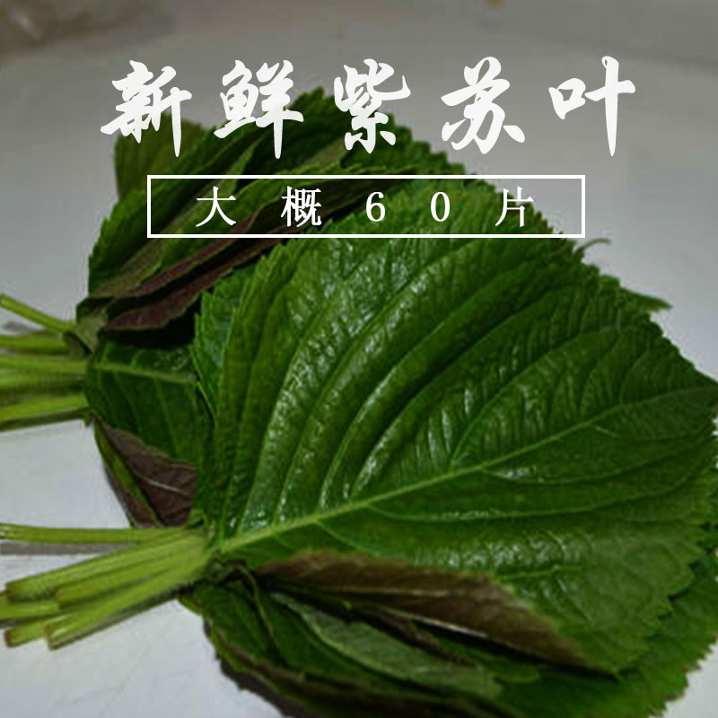 新鲜紫苏叶农家苏子叶干鱼虾蟹香料30克正宗辅料