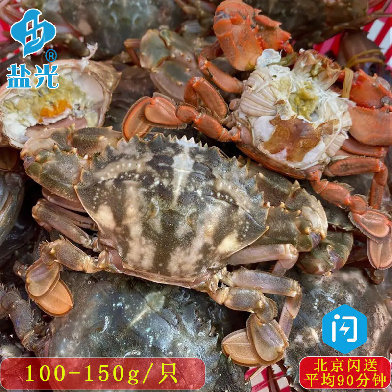 花盖蟹赤甲红100-150g/只梭子蟹海南海捕海蟹 按斤起售