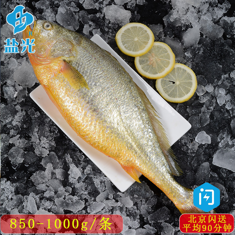 深海冰鲜黄花鱼按条出售大小黄鱼青岛海鲜舟山水产新鲜加工请备注