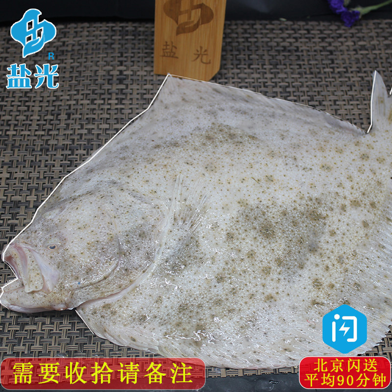 鲜活多宝鱼1.3-1.5斤/条鲜活海鱼刺少肉多蒜瓣肉 比目鱼偏口鲽鱼