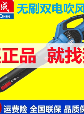 东成DCQF40171无刷家用充电鼓风机吹风机除雪机1100W大功率吹雪机