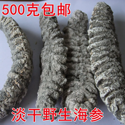 进口土耳其海刺参南美