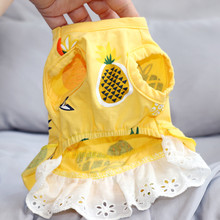 夏季薄款宠物裙子狗狗衣服泰迪博美比熊贵宾约克夏小型犬公主裙子