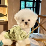 Одежда для собак на тяге, Тедди Бишон, кошка, маленькая собака, осенняя и зимняя одежда для домашних животных, йоркширский шнауцер VIP