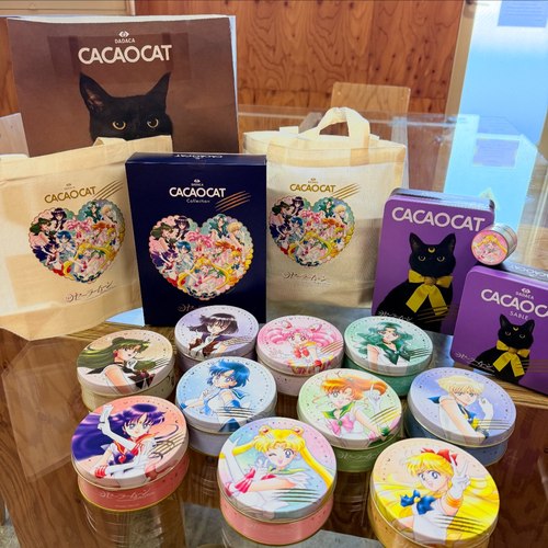 北海道巧克力品牌CACAOCAT联名美少女战士 日本 黑猫