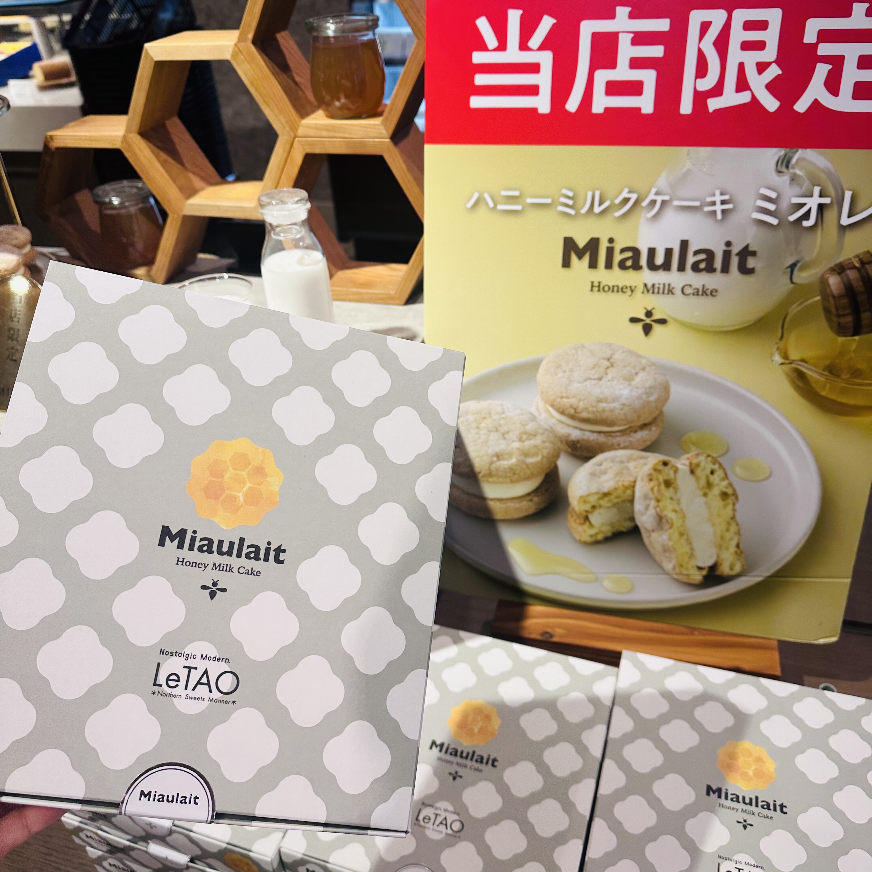 letao小樽红茶巧克力葡萄大吉岭奶茶代购 限定日本乐淘布雪蛋糕