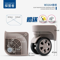 W316#Champagne Color 1 Set