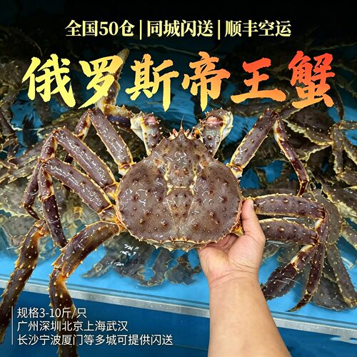 鲜活俄罗斯帝王蟹3-10斤送礼