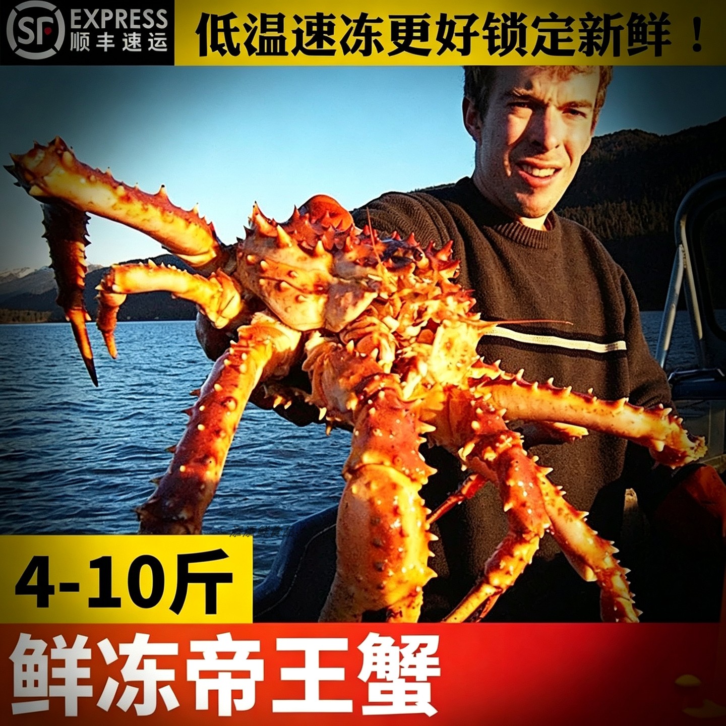 活冻俄罗斯帝王蟹10斤长脚大螃蟹图片
