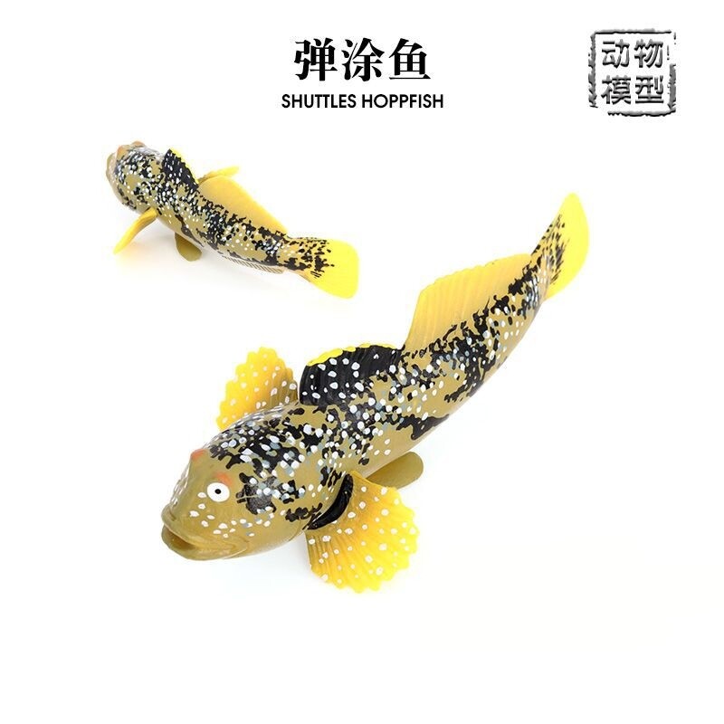 仿真海洋动物模型弹涂鱼跳跳鱼海底生物鱼缸摆件儿童认知玩具手办 - 实物图