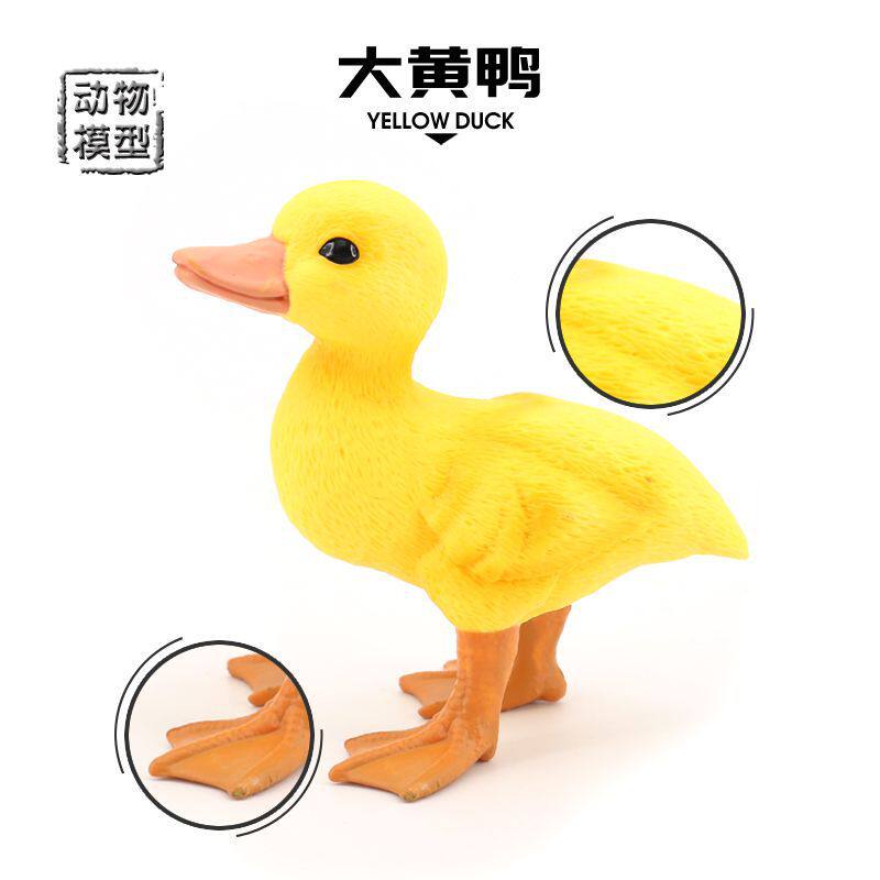 仿真小黄鸭模型鸭子玩具野生牧场家禽动物模型实心静态儿童玩具