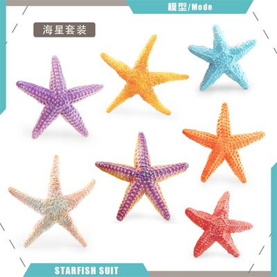 热销仿真海洋动物模型儿童科教棘皮动物五角海星静态沙盘装饰摆件