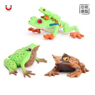 仿真动物模型青蛙三角枯叶蛙达尔文蛙红眼树蛙儿童认知摆件玩具
