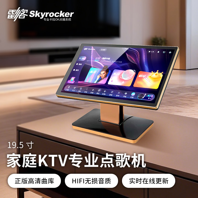 雷石雷客新款一体机KTV卡拉OK家庭用触摸屏语音智能点歌机唱享
