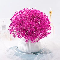 Клык Tianxing True Flower Dry Flower Букет домашний