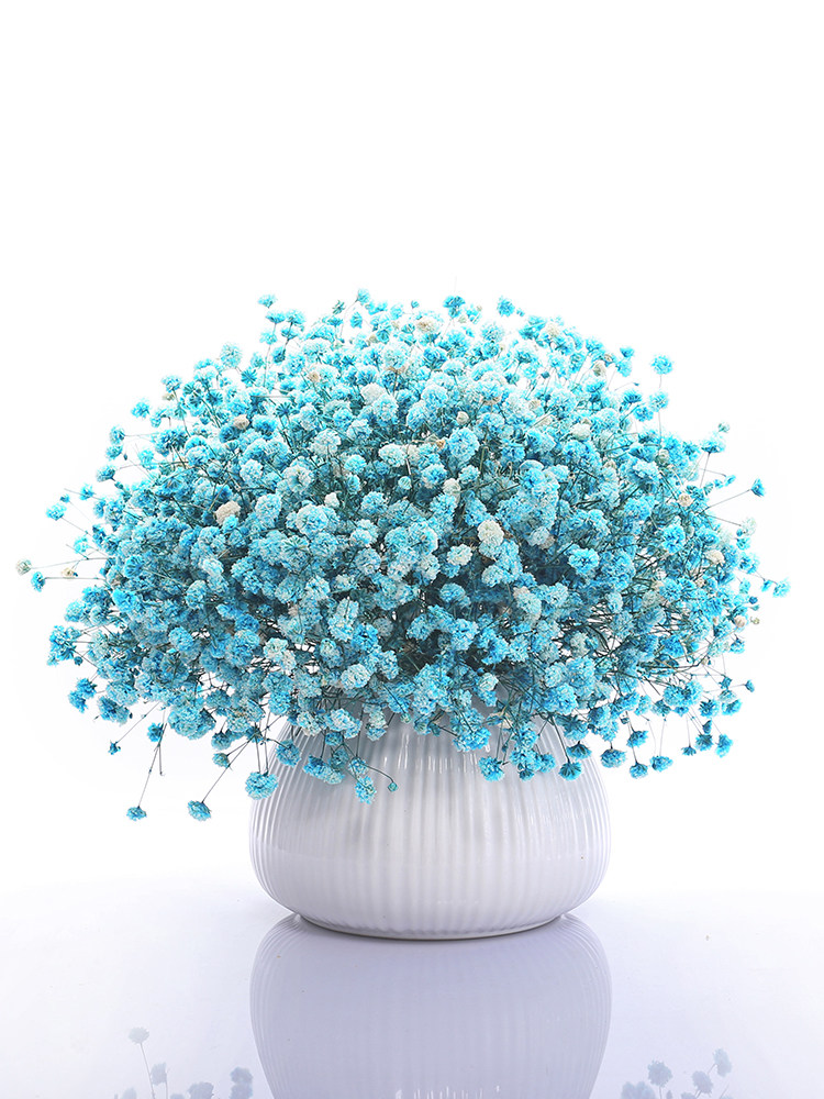 长款大束满天星干花花束装饰摆件家居客厅卧室摆设自然风干含花瓶