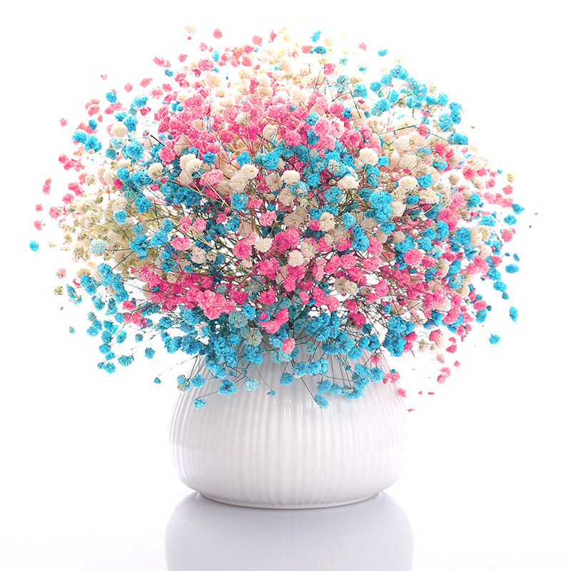 满天星干花 花束干花装饰摆件网红ins小清新居家瓶装插花