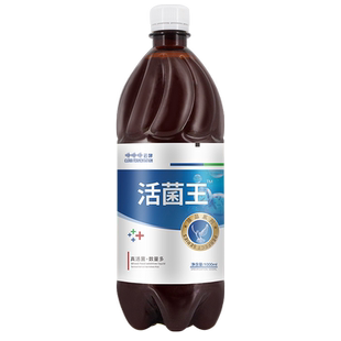 活菌王鸽用信鸽赛鸽用家用鸽子鸟类养殖专用鸽子用品植物饲料原料