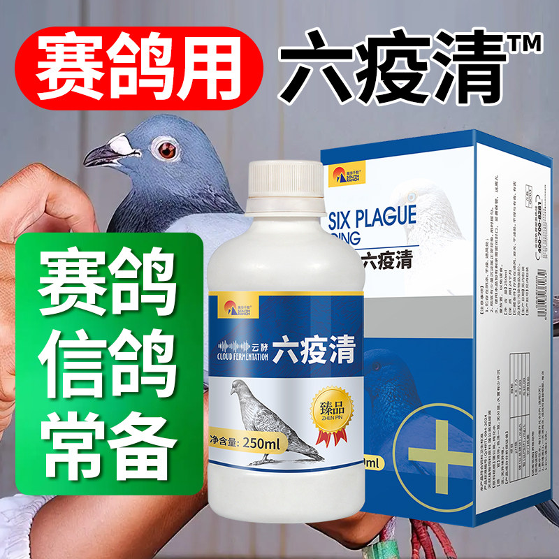 六疫清信鸽赛鸽鸽子用家用鸽子鸟类养殖专用鸽子用品植物饲料原料