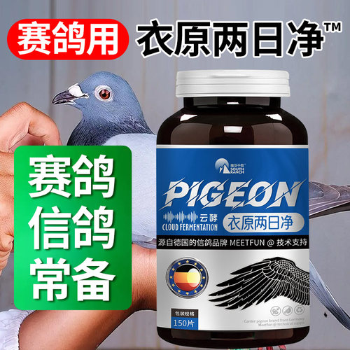 YITO鸽子养殖鸽子病衣原体支原体