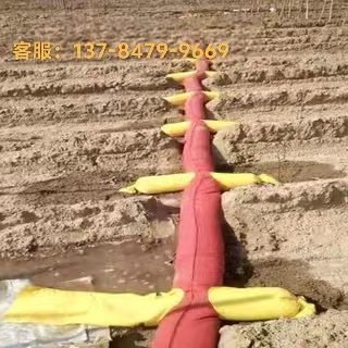 加厚带袖布龙园林灌溉浇地神器