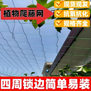 植物爬藤网攀爬网蔬菜瓜果网种黄瓜百香果园艺加粗四周锁边种植网