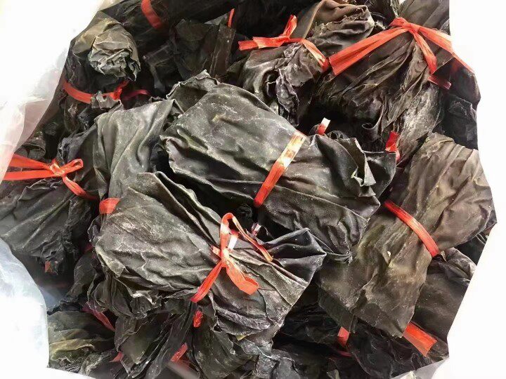 南澳岛特产野生海带干天然纯手工自晒海产干货500G装煲汤凉拌糖水