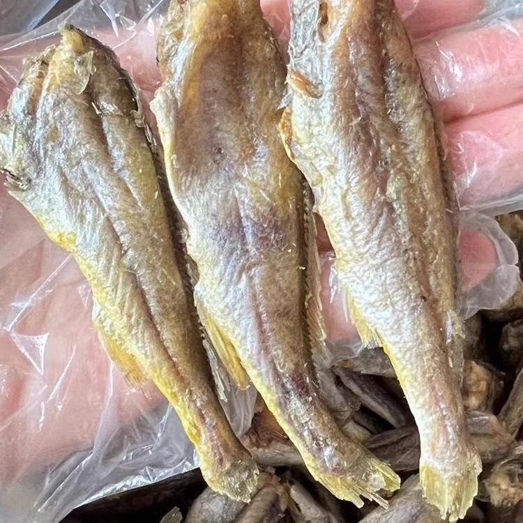 汕头南澳岛即食香酥小黄鱼黄花鱼干香烤酥脆黄鱼干零食海鲜酥鱼干
