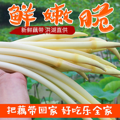 湖北特产洪湖新鲜藕带藕尖洪湖藕带藕占藕心现挖顺丰包邮