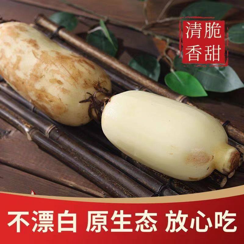 云南藕新上市菜藕莲藕脆藕鲜藕炒菜卤藕带泥现挖藕