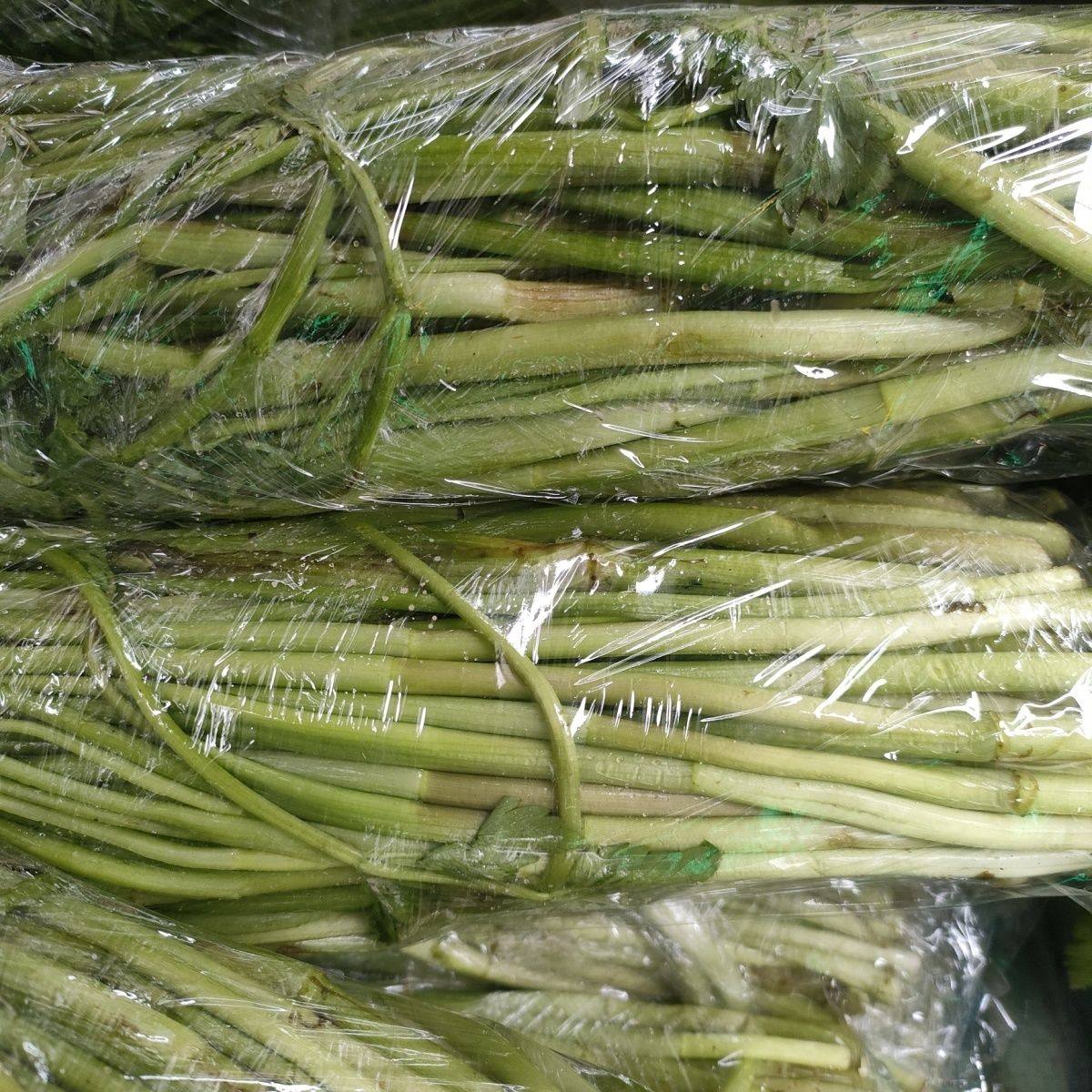现采现发野生芹菜 新鲜野芹菜时令当季生鲜蔬菜野菜1/3斤包邮