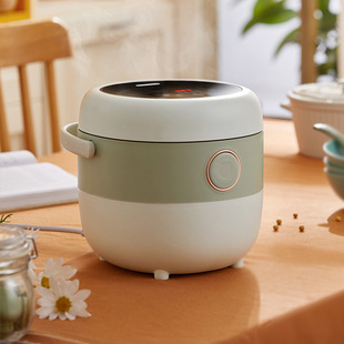 B16C1电饭煲家用1 DFB 2人迷你小型智能预约煮粥煲汤 小熊 Bear
