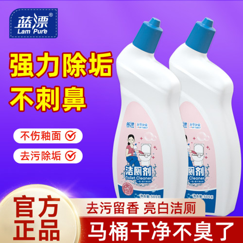 500g瓶装卫生间除垢去异味洁厕剂