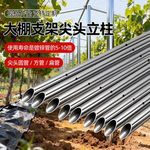 大棚支架钢管骨架蔬菜花卉种植鸡舍鸭围栏尖头不锈钢立柱