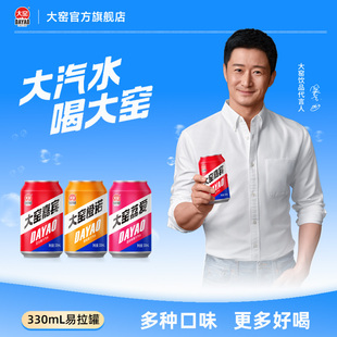 12易拉罐 大窑汽水嘉宾橙诺凤梨味果汁碳酸饮料330mL 吴京代言