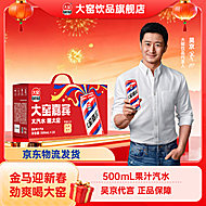 过年喝大窑！大窑礼盒500mL*10罐