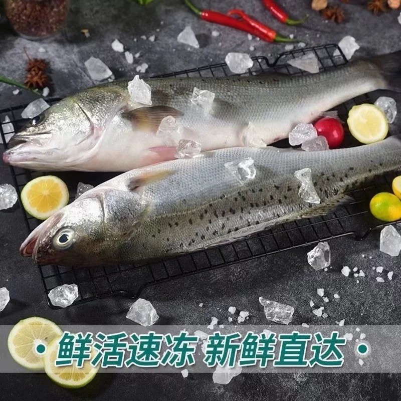 海鲈鱼新鲜冰鲜冷冻海鲜水产海捕速冻海鱼七星鲈鱼4条装顺丰包邮