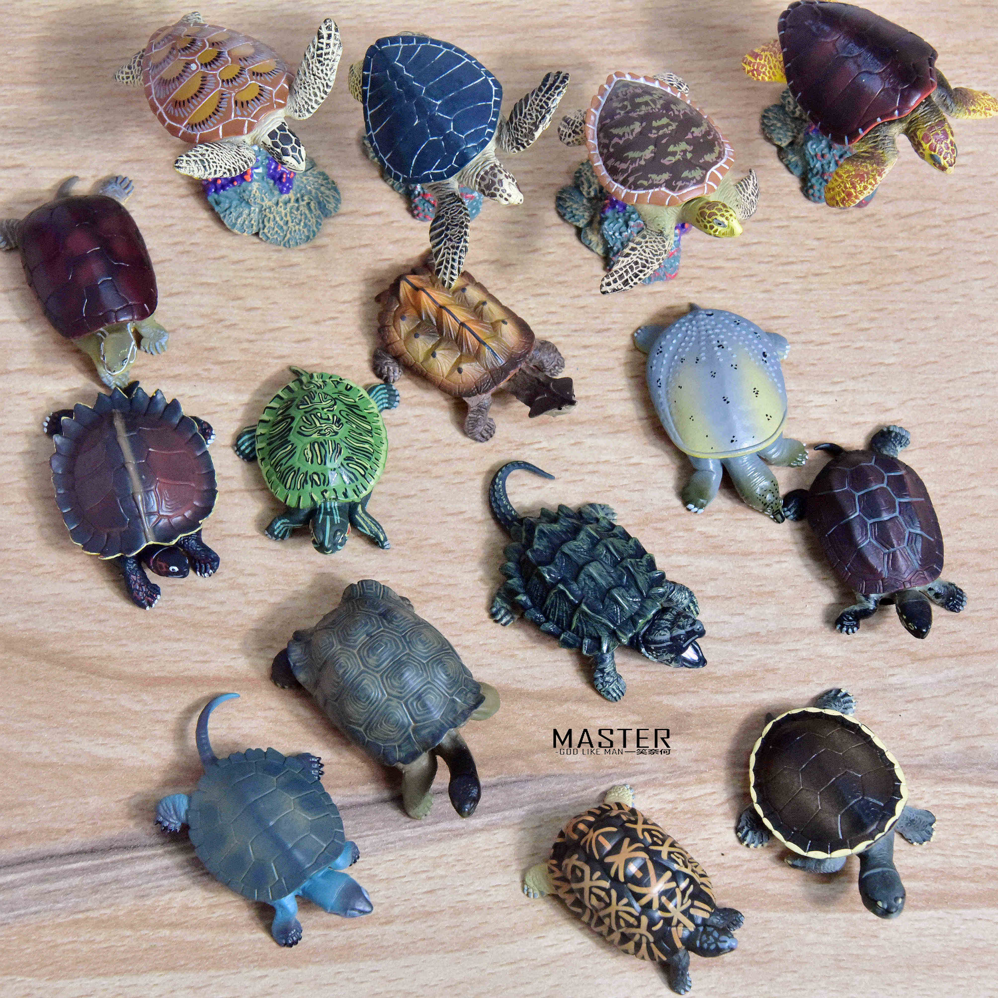 原单扭蛋乌龟海龟草龟海洋生物动物仿真模型摆件玩具微场景小摆设