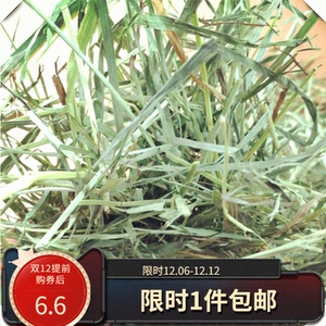 包邮 2021新优质提摩西草500g兔子干草豚鼠提草荷兰猪饲料木草粮