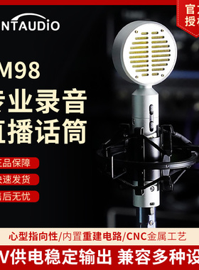 PaintAudio 大振膜电容麦克风PM98专业录音直播唱歌话筒