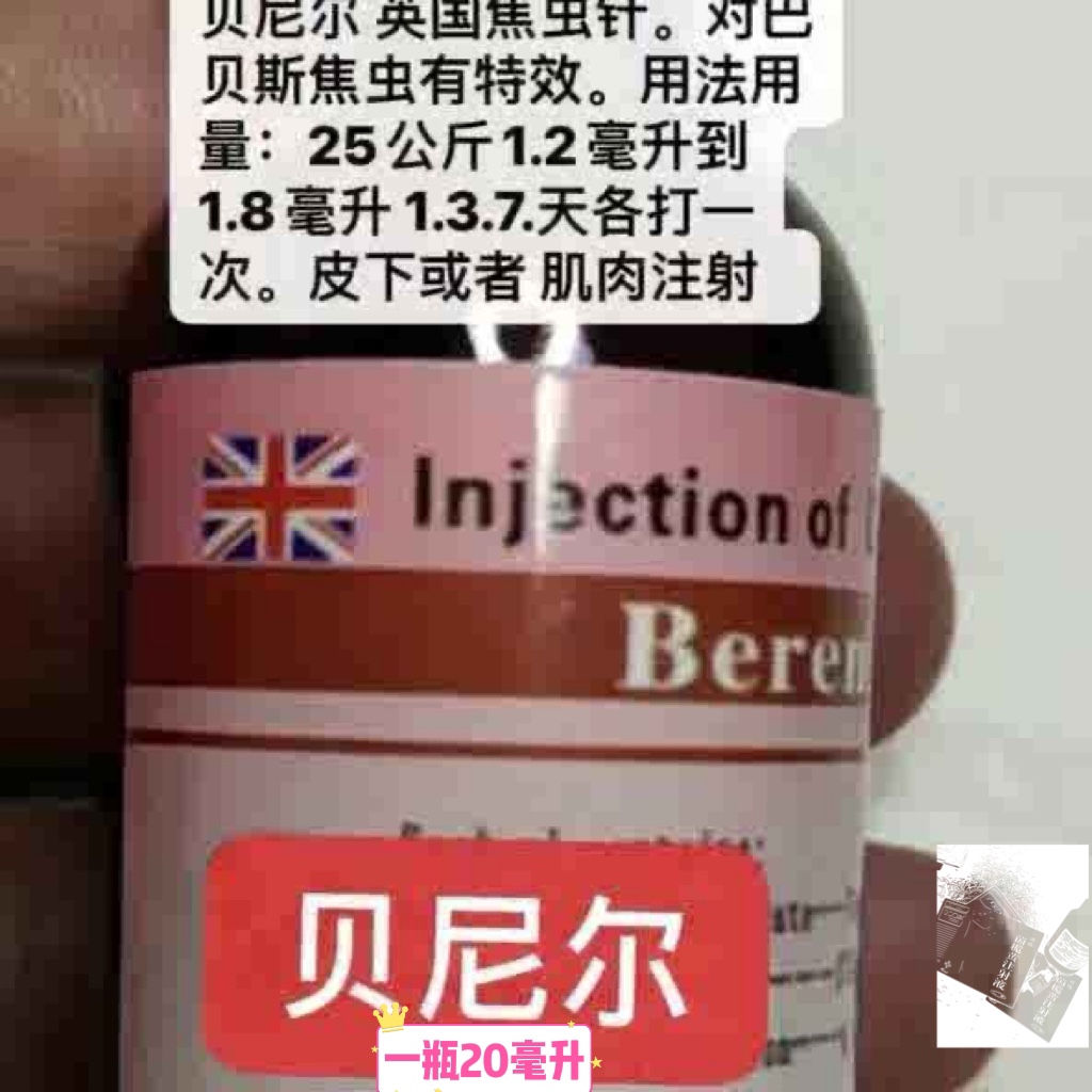 进口犬猫血液焦虫巴贝斯虫贝尼尔焦虫巴贝斯进口包邮