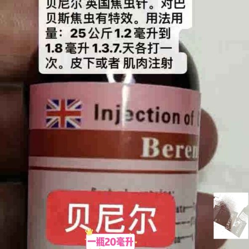 进口犬猫血液焦虫巴贝斯虫贝尼尔焦虫巴贝斯进口包邮