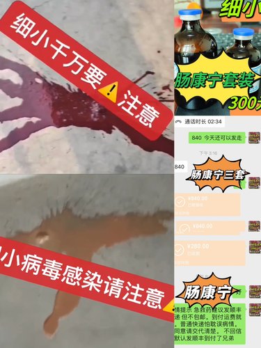 狗狗细小克星病毒急救药治疗幼犬瘟细小冠状病毒狗狗拉稀呕吐