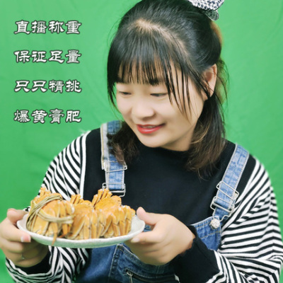 1斤母蟹 9指残蟹3两以上 鲜活大闸蟹苏北淡水河 直播精挑兴化螃蟹
