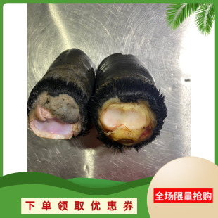 带毛带壳小驴蹄子蹄子壳带毛2个新鲜生驴蹄子肉毛黑驴蹄子生蹄子