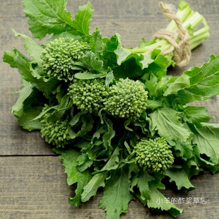 【种子】意大利传家宝 花茎和叶均可食用 皱叶早生西兰花苔 10粒