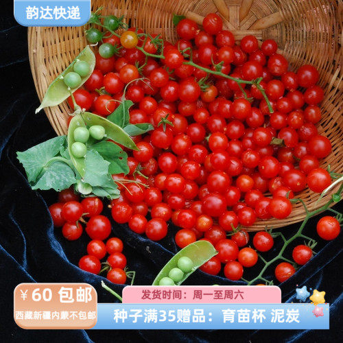 【种子】进口传家宝种子 迷你番茄 甜豌豆番茄  红醋栗 10粒