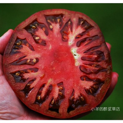 疯狂的小羊紫色切诺基