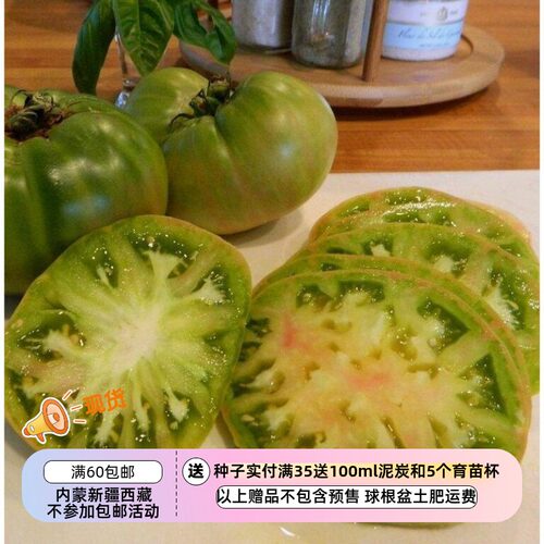 进口传家宝种子绿色番茄甜辛辣